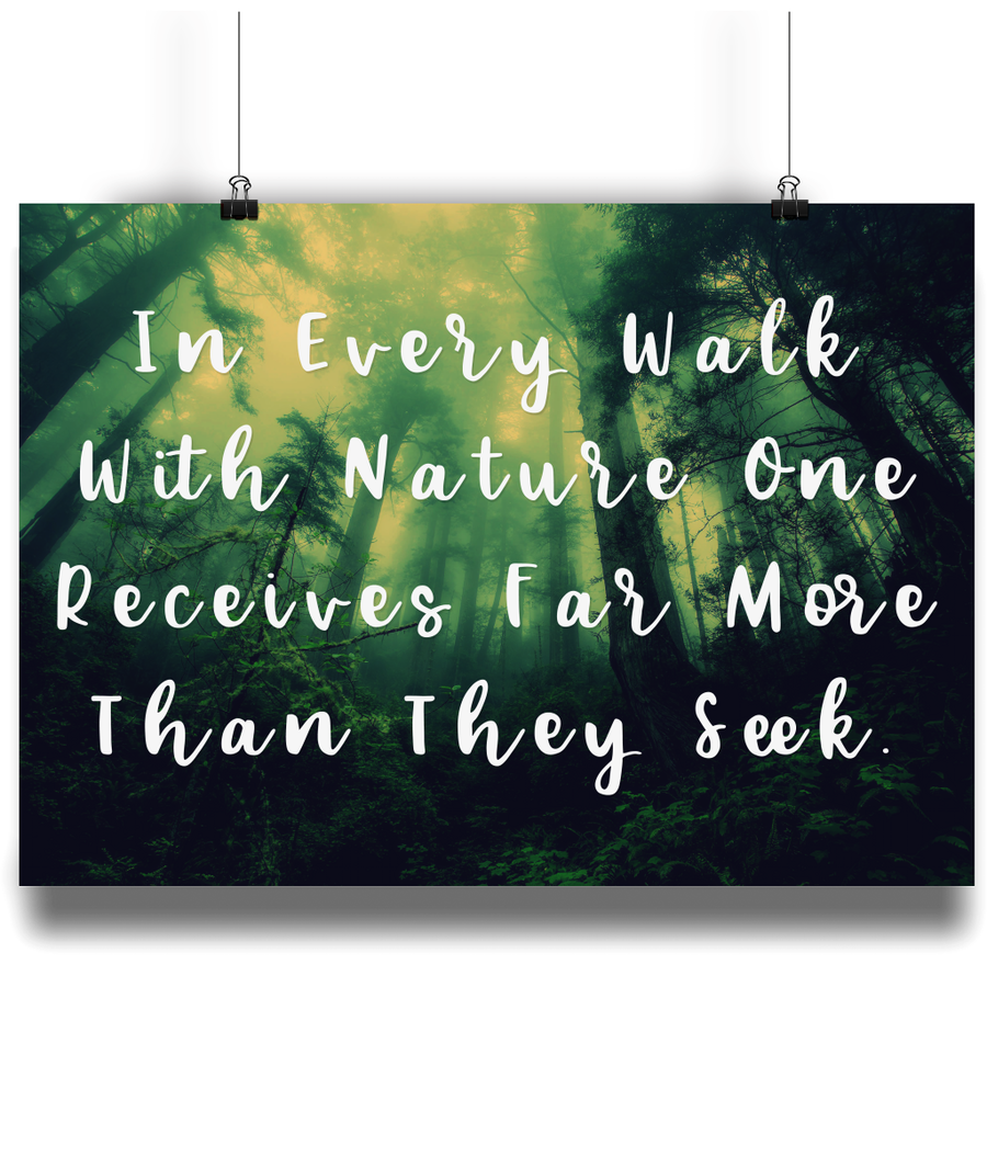 Every Walk With Nature