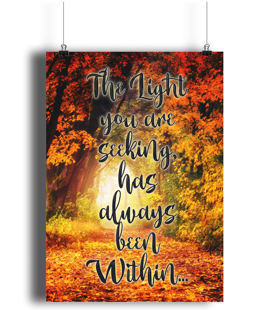 The Light You Are Seeking Is Seeking You